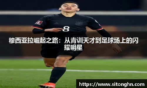 zoty中欧官方网站